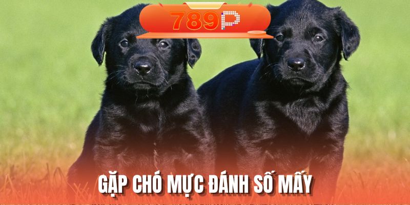 gap-cho-muc-danh-so-may